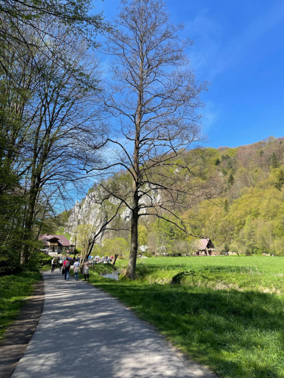 Ojcowski Park Narodowy zachwycił zagraniczne media. To prawdziwa oaza spokoju