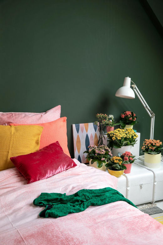 Kalanchoe