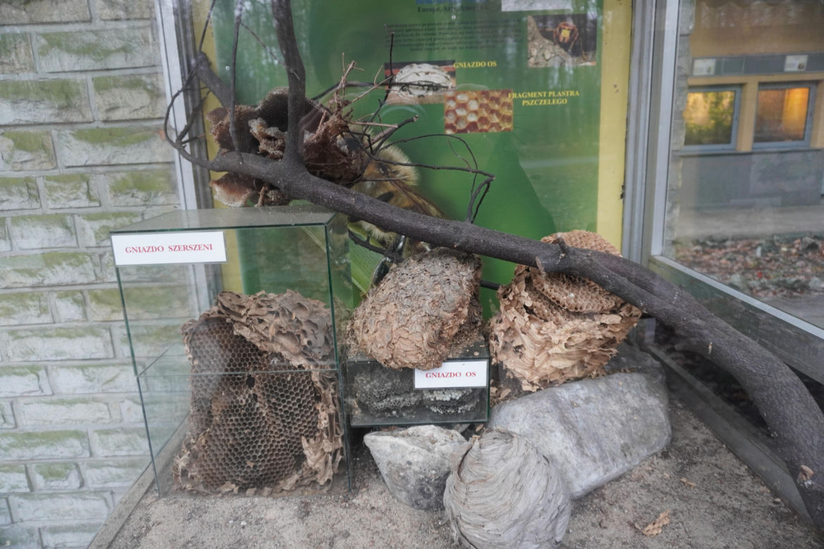 Zoo w Poznaniu zimą