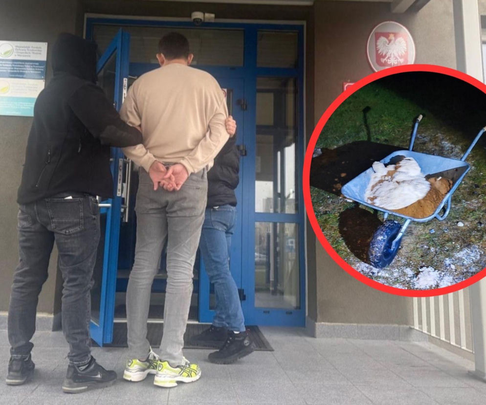 Wielka wytwórnia amfetaminy zlikwidowana