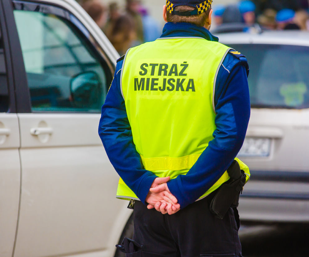 Skandal w Krakowie! Strażnik miejski domagał się seksu w zamian za interwencję 