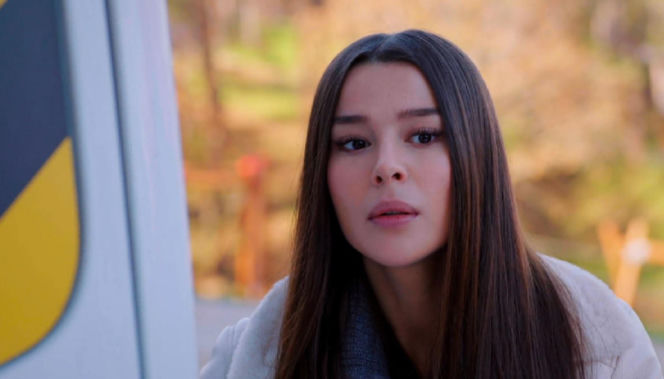 Miłość i nadzieja, odcinek 349. Zeynep