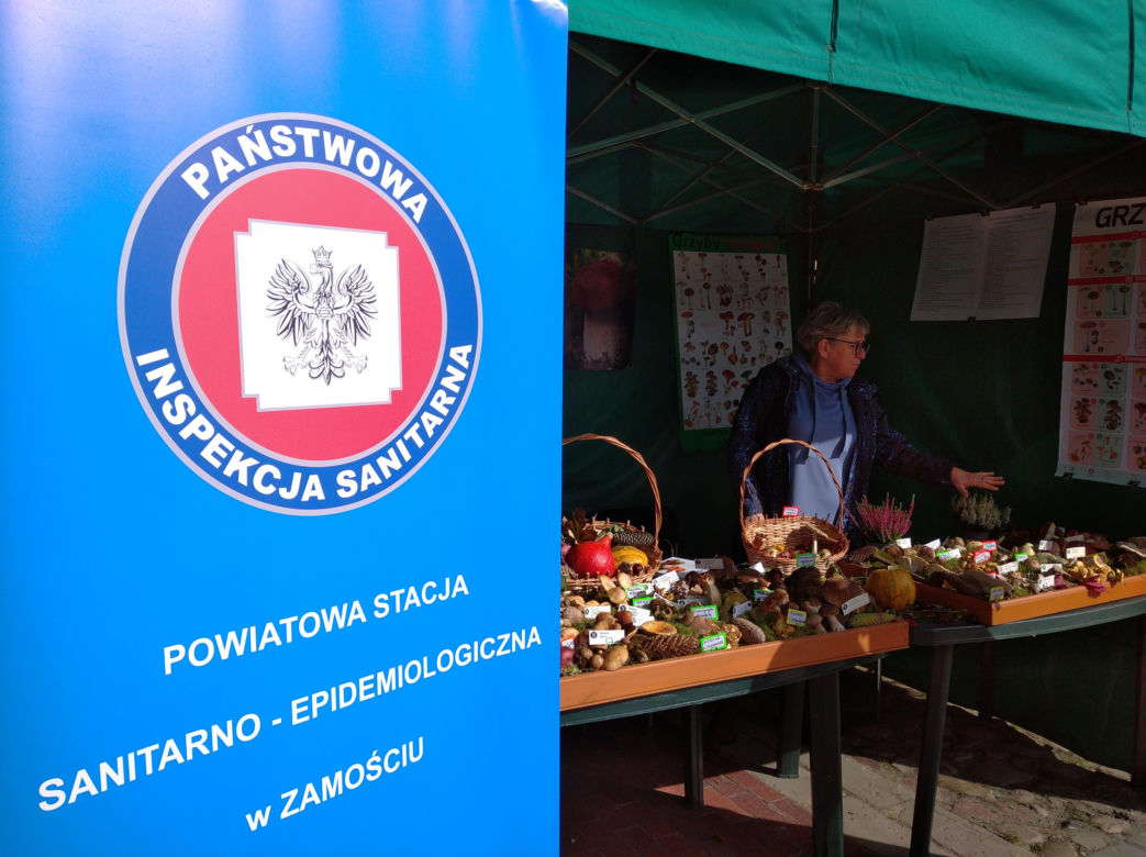 Grzybobranie lubelskie - naturalnie! Zamość 2023