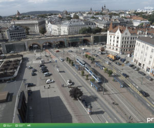 Zielona rewolucja na ul. Grzegórzeckiej