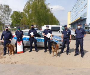 Harry, Boss, Taj - psy z bydgoskiej policji przeszły na emeryturę
