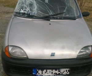 Pechowy wtorek na drogach. Ciężarówka zaparkowała w domu, seicento na przystanku