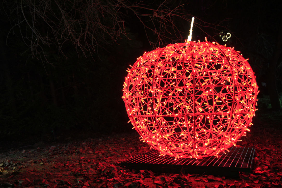 Park iluminacji „Tajemniczy Ogród” w Lublinie