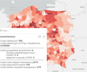 Koronawirus w województwie śląskim. Tak wygląda sytuacja w poszczególnych powiatach [RAPORT, 19 MARCA]