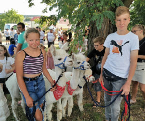 Święcenie zwierząt w Mikstacie