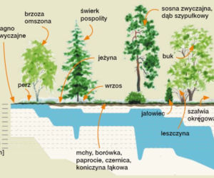 Woda ze studni czy z wodociągu?