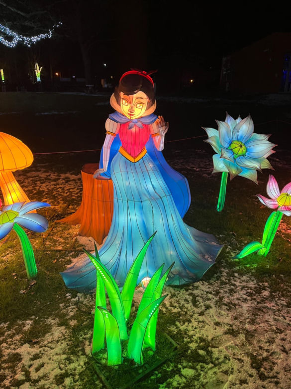 Garden of Lights w Szczecinie
