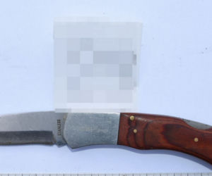Cherlawi, ale niebezpieczni. Pod Zamościem grasowała banda włamywaczy