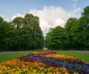 Park Skaryszewski