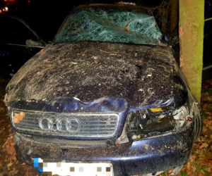 Wypadek pod Sieniawką. Audi roztrzaskało się na słupie