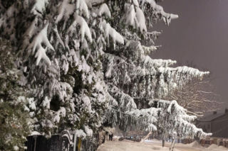 Śnieżna zima w Warszawie - zdjęcia czytelników