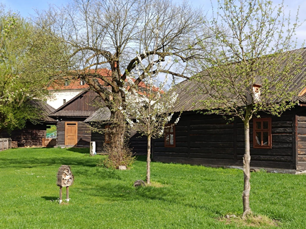 Małopolskie miasto, które przyciąga nowych mieszkańców. Zaludnia się najszybciej w regionie 