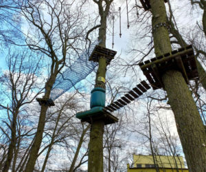 Rozbiórka Parku Linowego Tarzan w Parku Tysiąclecia w Lesznie