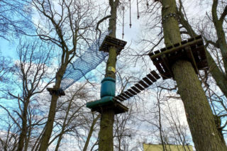 Rozbiórka Parku Linowego Tarzan w Parku Tysiąclecia w Lesznie