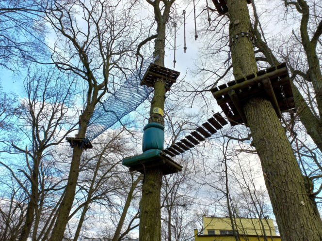 Rozbiórka Parku Linowego Tarzan w Parku Tysiąclecia w Lesznie