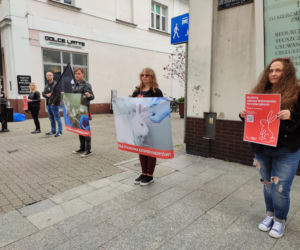 Fundacja VIVA protestuje w Lesznie