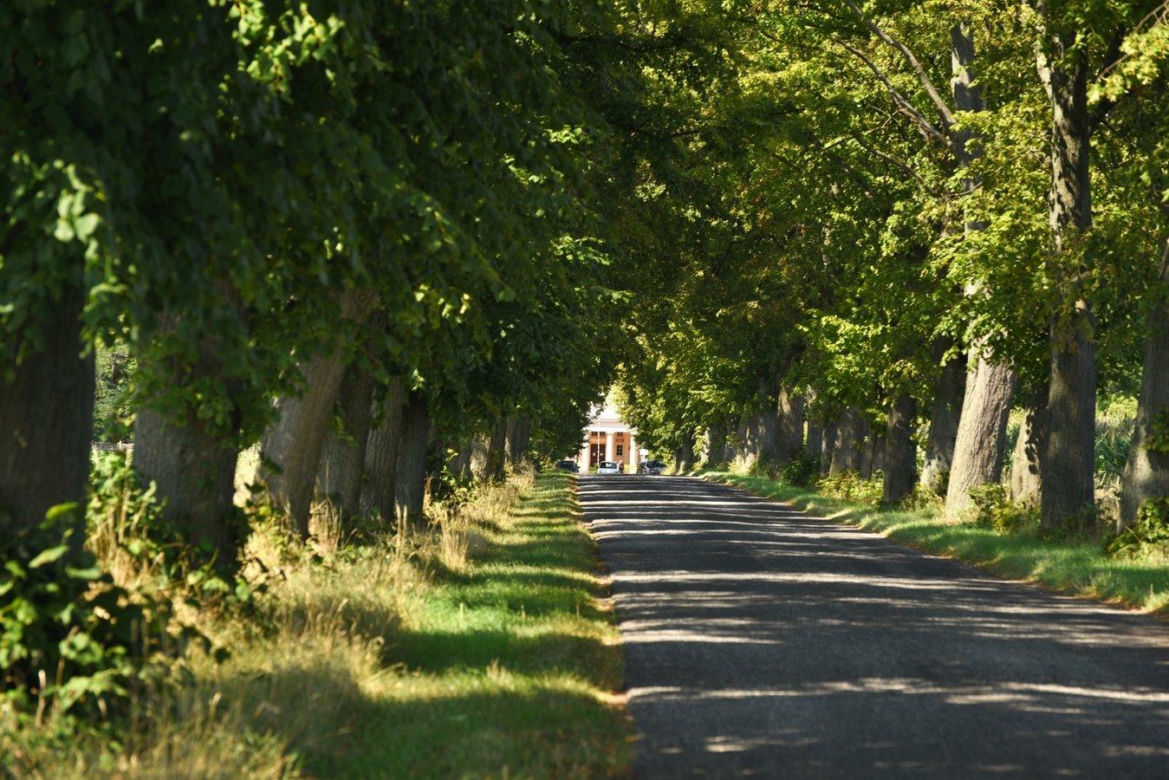 Pałac w Górznie