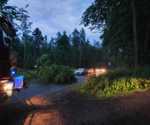 Front burzowy przeszedł przez Warmię i Mazury. Powalone drzewa, dużo strat materialnych [ZDJĘCIA]