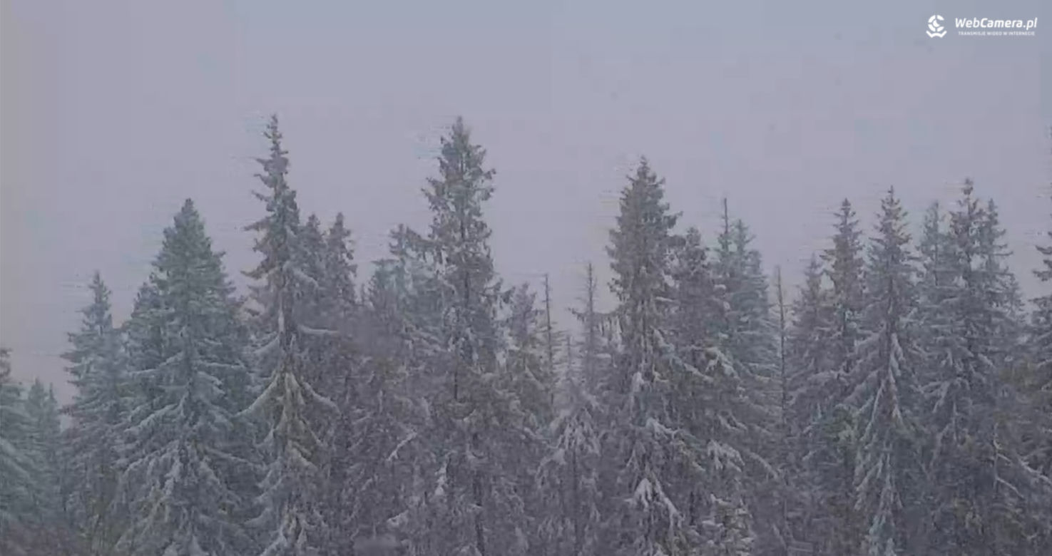 Atak śniegu w pierwsze dni wiosny na Podhalu