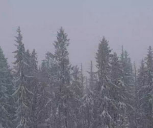 Atak śniegu w pierwsze dni wiosny na Podhalu