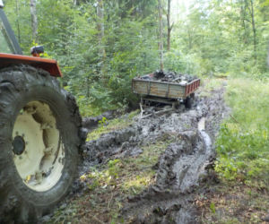W podbraniewskim lesie odkryto wrak samolotu  pochodzącego z czasów II wojny światowej