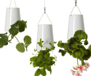 doniczka do góry nogami Sky Planter