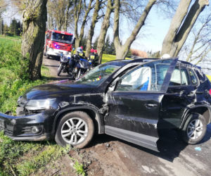Robiła wszystko, aby uratować kota. 57-latka uderzyła w drzewo!