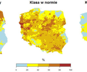Pogoda na sierpień 2020: Długoterminowa prognoza pogody