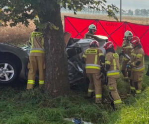 Auto roztrzaskało się o drzewo, dwie osoby zginęły! Dramat w Wielkopolsce