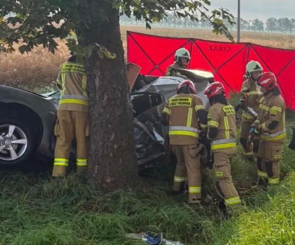 Auto roztrzaskało się o drzewo, dwie osoby zginęły! Dramat w Wielkopolsce
