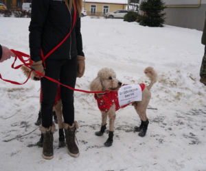 Schronisko dla psów w Sobolewie zamknięte. Jeszcze w sobotę, 24 stycznia, protestowali pod nim mieszkańcy [ZDJĘCIA].