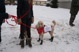 Schronisko dla psów w Sobolewie zamknięte. Jeszcze w sobotę, 24 stycznia, protestowali pod nim mieszkańcy [ZDJĘCIA].