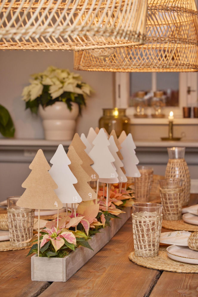 Kalendarz adwentowy z choinkami z papieru i mini poinsecjami