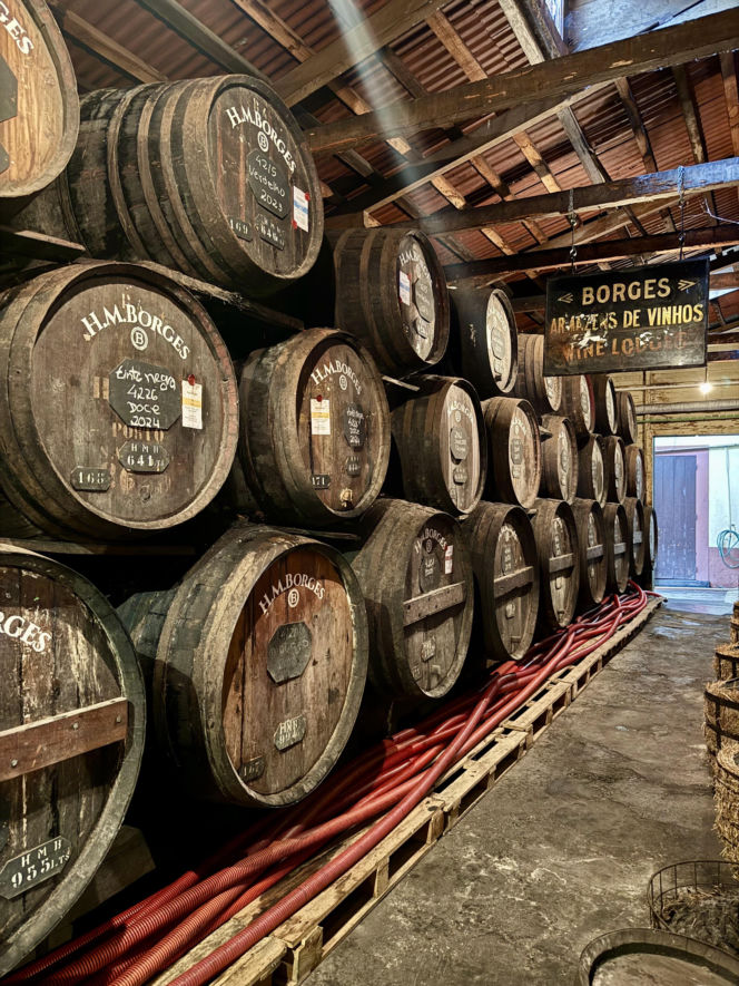 Winiarnia H.M. Borges  w Funchal