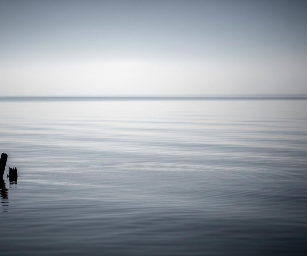 Dwa ciemne, chropowate kikuty wystają z tafli wody w lewej dolnej części obrazu. Większy kikut, z lewej, jest smukły i pionowy, natomiast mniejszy, z prawej, jest szerszy i nieregularny. Odłamki drewna rzucają wyraźne, pionowe cienie na niemal gładką powierzchnię wody, która pokryta jest delikatnymi, koncentrycznymi falami. Horyzont jest niewyraźny i rozmywa się w jasnym, szaro-białym niebie, tworząc wrażenie spokoju i przestrzeni.