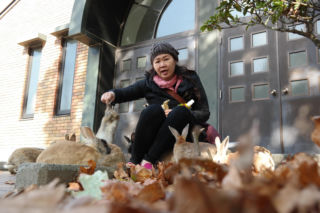 Wyspa, na której żyje więcej królików niż ludzi. Ma mroczną przeszłość