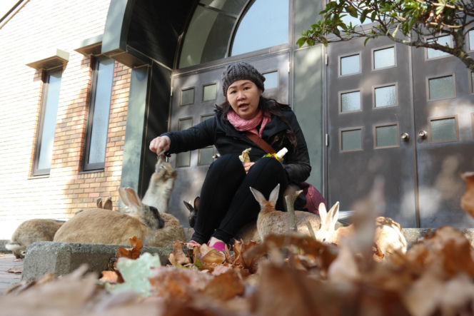 Wyspa, na której żyje więcej królików niż ludzi. Ma mroczną przeszłość