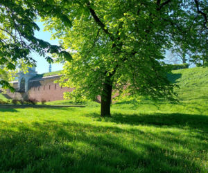 Wiosna w Zamościu
