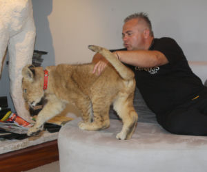 Leszek Bielenda i jego lew