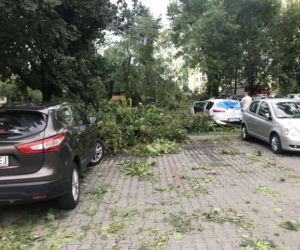 Jedną z dzielnic, któa ucierpiała najbardziej był Czechów Południowy