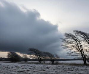Pogoda w Opolu 19.11.2025. Eksperci alarmują, co wydarzy się jutro?