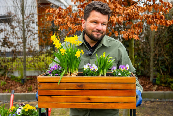 Wiosenne porządki w ogrodzie