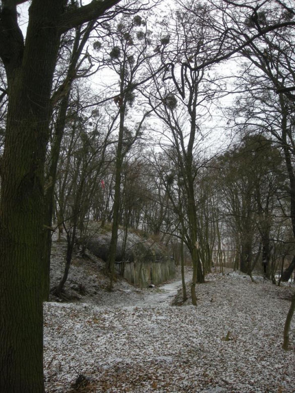 Fort Piechoty numer 6 "Polanowice"