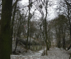 Fort Piechoty numer 6 Polanowice