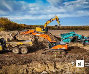 Usuwanie rdestowca na budowie Trasy Północnej