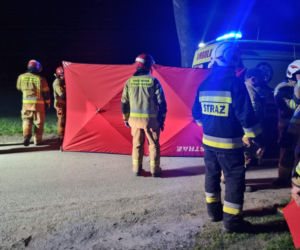 Makabryczna śmierć pod Płockiem! BMW roztrzaskało się o drzewo [ZDJĘCIA]